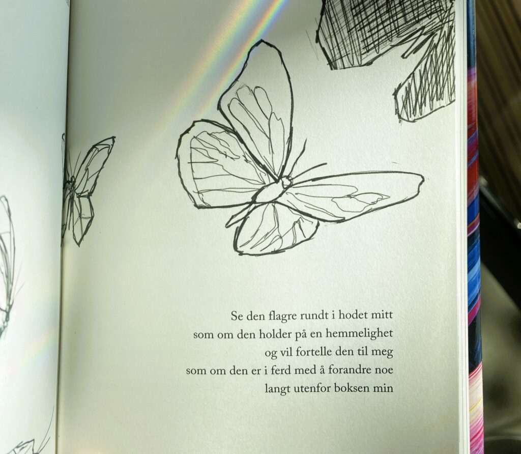 Eier: Stjørdal bibliotek.